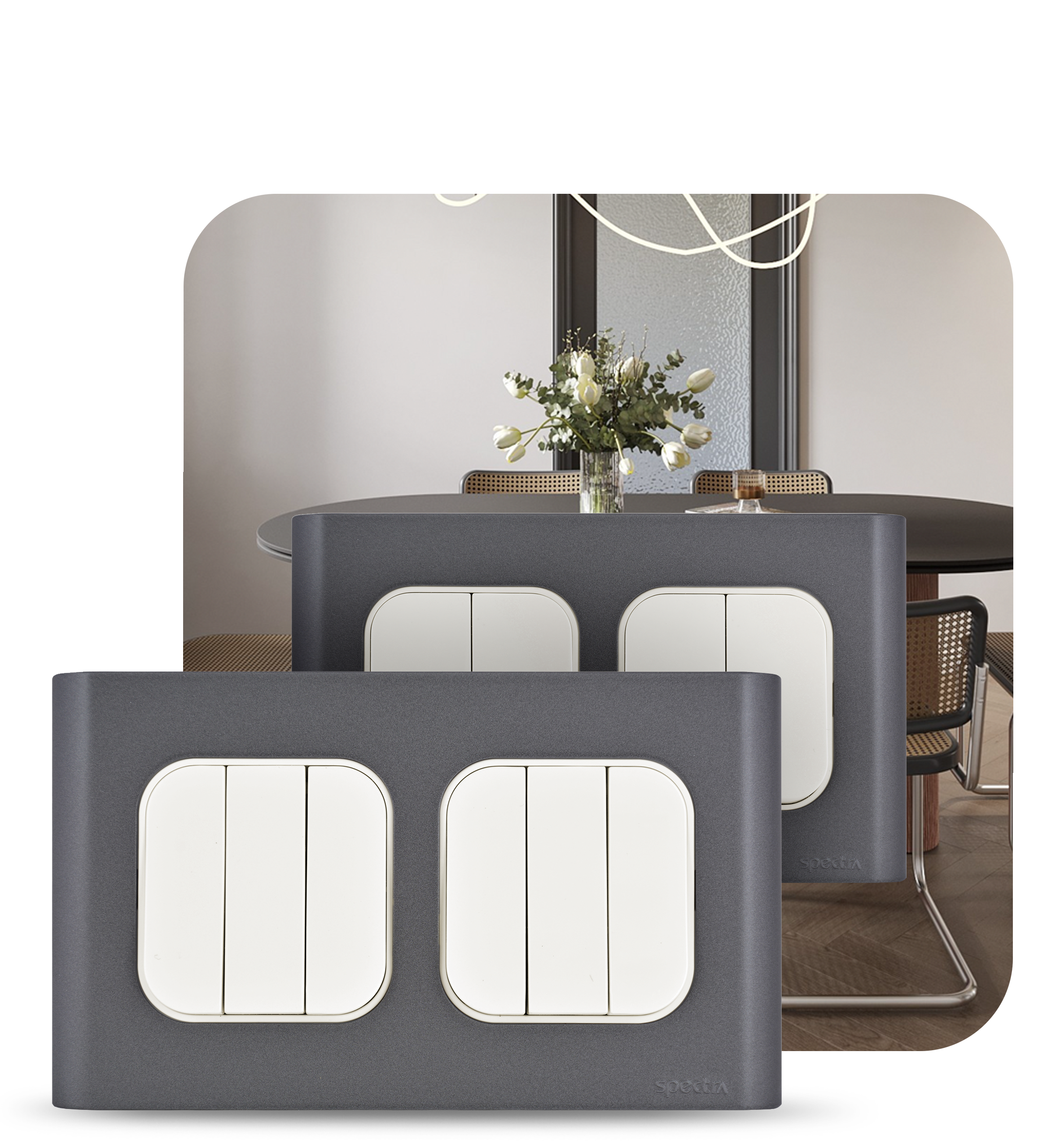 Timeless Elegance, Reimagined..!